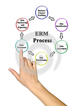 Enterprise Risk management Process