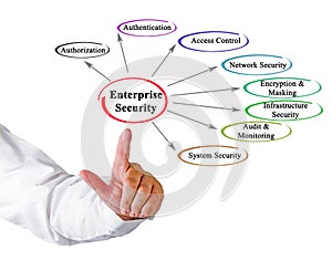 Enterprise Security Aspects