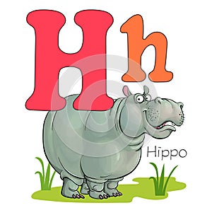 Entertaining alphabet of animals for children