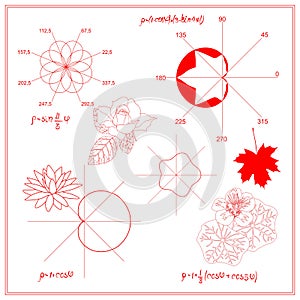 Entertaining Mathematics. Trigonometric functions and algebraic graphs of water lily sheet, maple and nasturtium leaves.