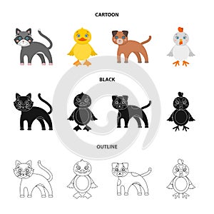 Entertainment, farm, pets and other web icon in cartoon,black,outline style. Eggs, toy, recreation icons in set