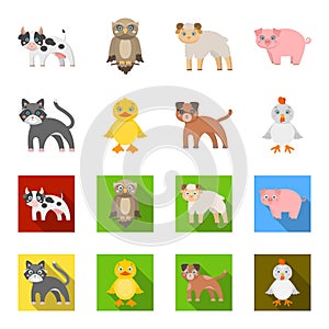 Entertainment, farm, pets and other web icon in cartoon,flat style. Eggs, toy, recreation icons in set collection.
