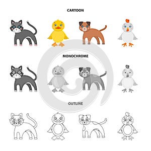 Entertainment, farm, pets and other web icon in cartoon,outline,monochrome style. Eggs, toy, recreation icons in set