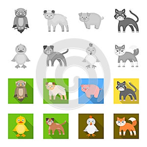 Entertainment, farm, pets and other web icon in monochrome,flat style. Eggs, toy, recreation icons in set collection.