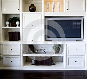 Entertainment shelving area in living room