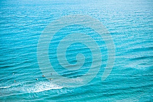 Enthusiastic surfers swimming in the sea - Jeju Island, South Korea