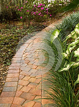 Enticing curved garden path