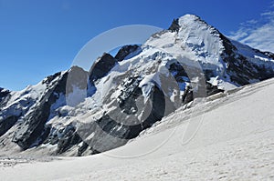 Entire north Face of the Dent d'Herens