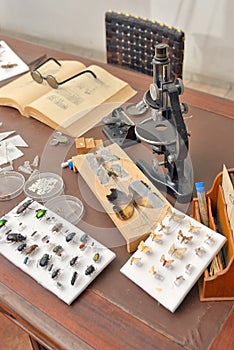 Entomologist office with Tools