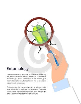 Entomology Poster and Text Vector Illustration