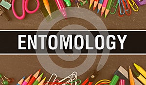 Entomology text written on Education background of Back to School concept. Entomology concept banner on Education sketch with