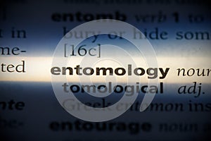 Entomology photo