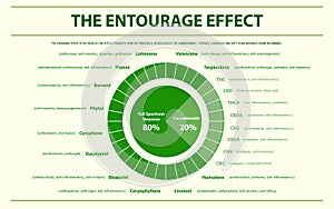 The Entourage Effect Proportion horizontal infographic