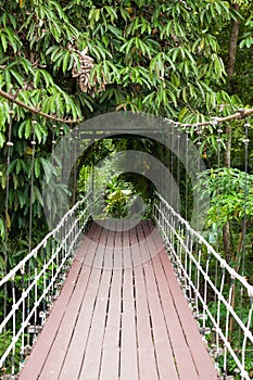 Entrance bridge in Gunung mulu national park