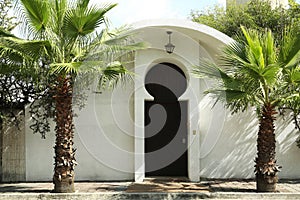 Entrance of building with beautiful door and palm trees outdoors