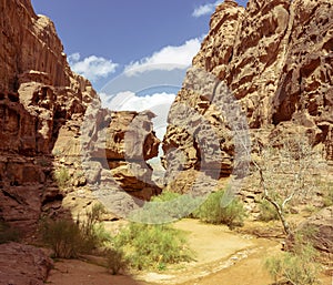 Entrance of a canyon in Wadi Rum protected area, Jordan, Middle East