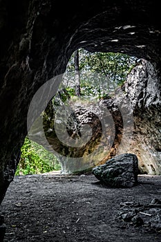 Entrance Of A Cave With View To Forest