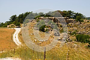 Entrance of Cedar Reserve, Tannourine, Lebanon