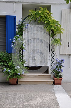 Entrance do the house with flowerpots