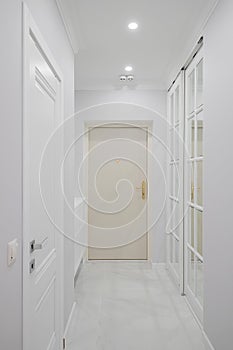 Entrance door inside an apartment in a modern interior