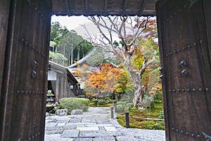 Entrance door to beautiful Japanese maple garden during autumn at Enkoji Temple in Kyoto, Japan