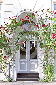 Entrance door townhouse red roses photo