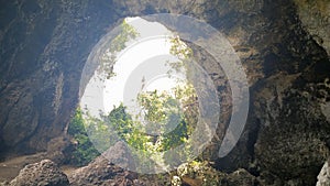 Entrance or exit of a big cave with plants and vegatation growing in the entrance in Loiza, Puerto Rico. photo