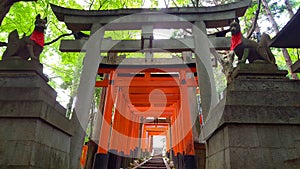 Entrance gate of the Thousands gates Senbon torii pathway with its status of dogs gardian of the temple photo