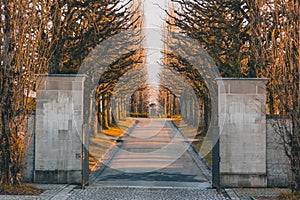 Entrance gate to the Bois-de-vaux cemetery in Lausanne, Switzerland during winter time and in the evening hours. Romantic but