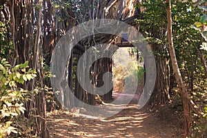 Entrance gate to Ranthambore National Park, India