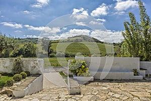 Entrance of homestead with stairs, wall and mountainous field in