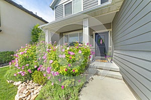 Entrance of a house with flowering shrubs and concrete walway near the gray wood siding