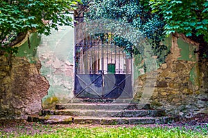 Entrance in an old mansion with stairs full of leaves and a rusty fence