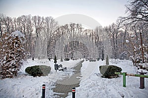 Entrance in a park with the alley cleared of snow 