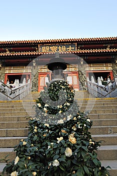 Entrance of the Po Lin Monastery