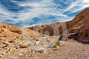 The entrance of the Red Canyon geological attraction in Israel