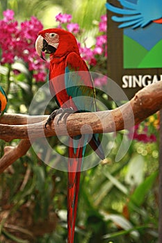 Entrance of the Singapore Bird Park