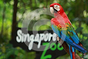 Entrance of the Singapore Zoo