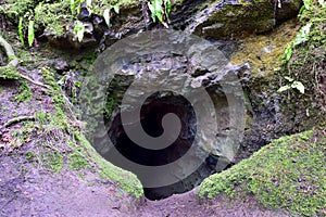Entrance of Solutional Cave System of West Central Scotland