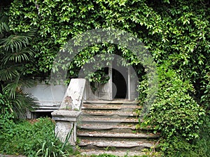 Entrance to an abandoned house. Abkhazia