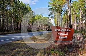 Entrance to the Apalachicola National Forest