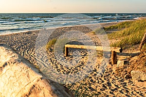 Entrance to a beautiful beach on the Baltic Sea at sunset. Wooden balustrade, dunes, grass and pine trees. Darlowo, Poland