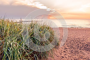 Entrance to a beautiful, empty beach on the Baltic Sea,