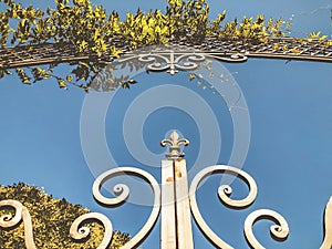 Entrance to the botanic garden in Tbilisi. Beautiful iron gate against the blue sky. Summer day in the city