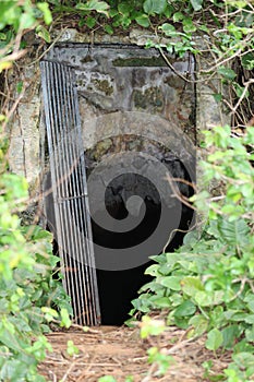 Entrance to a Cave on the Island of Bermuds