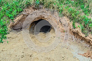 Entrance to a cave in the mountain. Mountain cave entrance