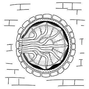 Entrance to the Chamber of Secrets. Magically enhanced door with sliding snake locks. Doodle outline style. Harry Potter