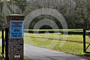 Entrance to the Charleston Tea Plantation