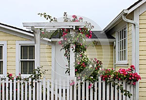 Entrance to cheery yellow wood house with white picket fence and a gate with an arbor with wild roses growing up and over it
