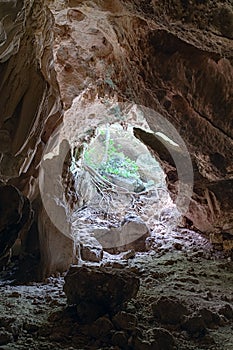 Entrance to Cueva Ventana - Window Cave in Puerto Rico photo